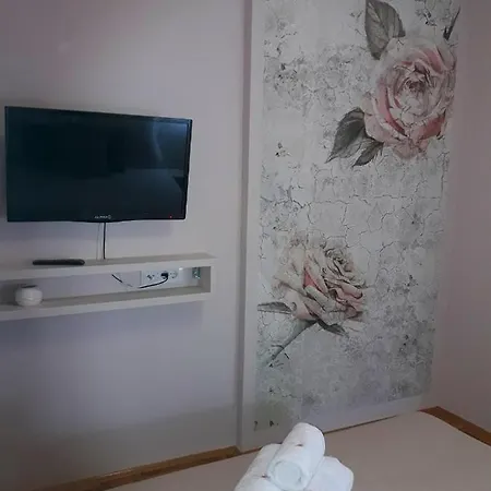 Apartman Zlatna Ruza فندق