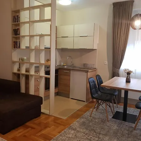 Apartman Zlatna Ruza فندق
