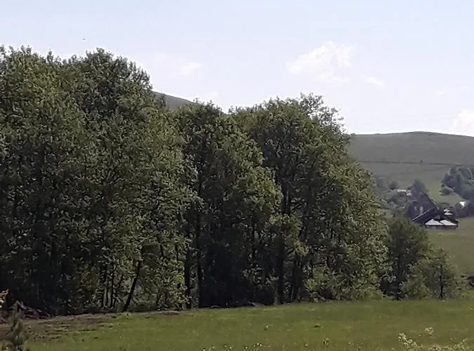 Apartman Zlatna Ruza ホテル ズラティボール