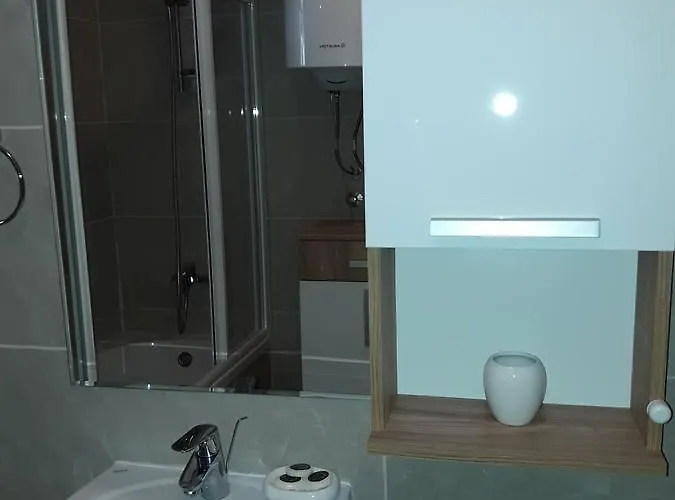 Apartman Zlatna Ruza ホテル