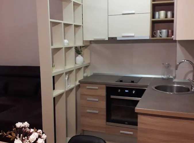 Apartman Zlatna Ruza ホテル ズラティボール