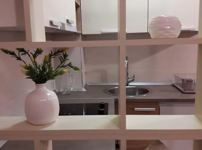 ホテル Apartman Zlatna Ruza *