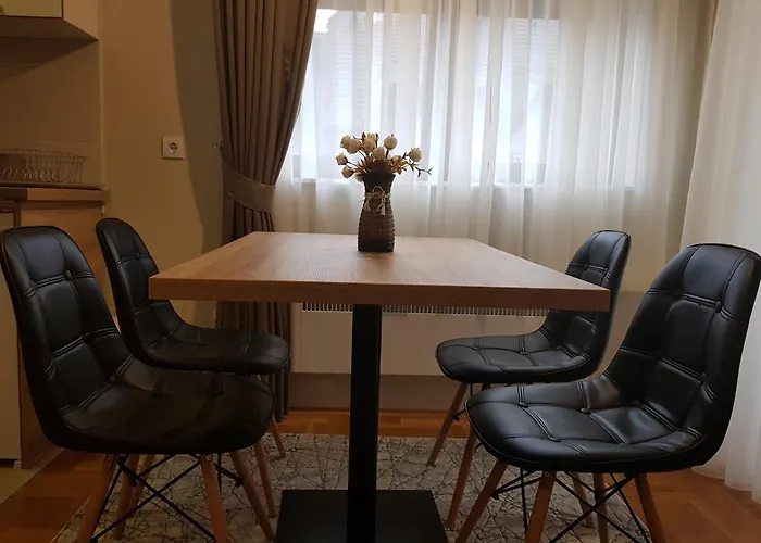 ホテル Apartman Zlatna Ruza ズラティボール