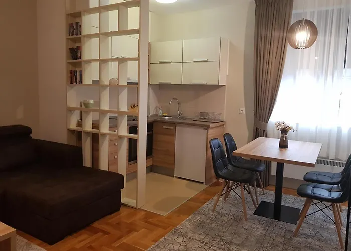 Apartman Zlatna Ruza ホテル